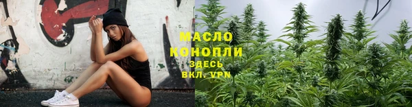 твердый Лагань
