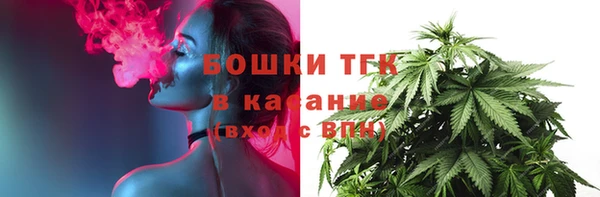 дурь Ладушкин