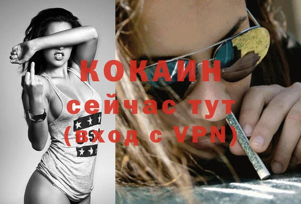 твердый Лагань