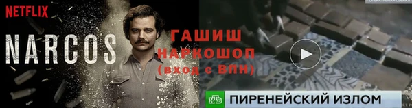 твердый Лагань