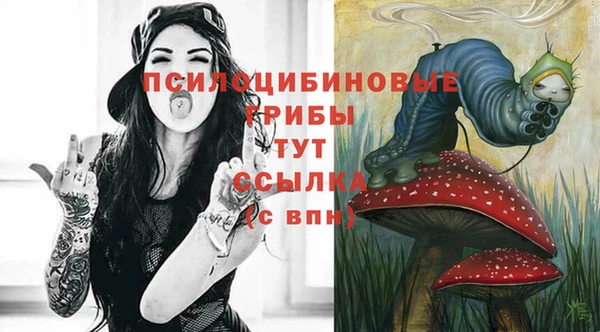 дурь Ладушкин