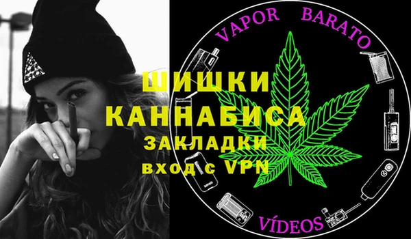 дурь Ладушкин
