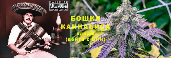 дурь Ладушкин