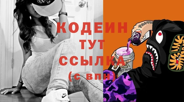 дурь Ладушкин