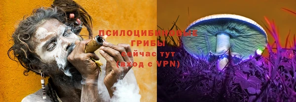 твердый Лагань