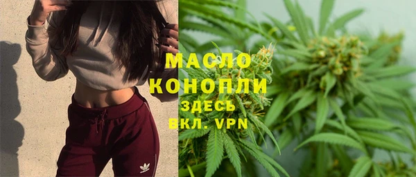 дурь Ладушкин
